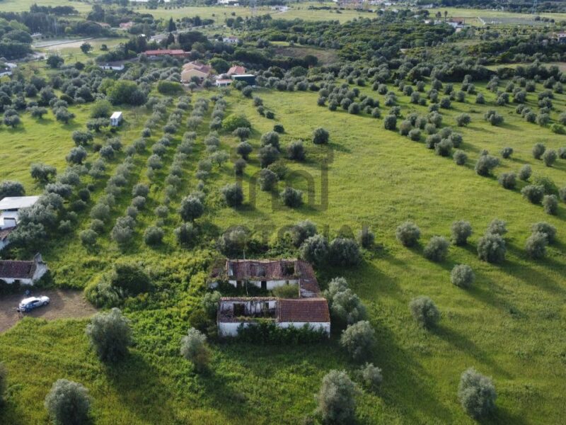 Moradia em Ruinas (terreno com 3 hectares)