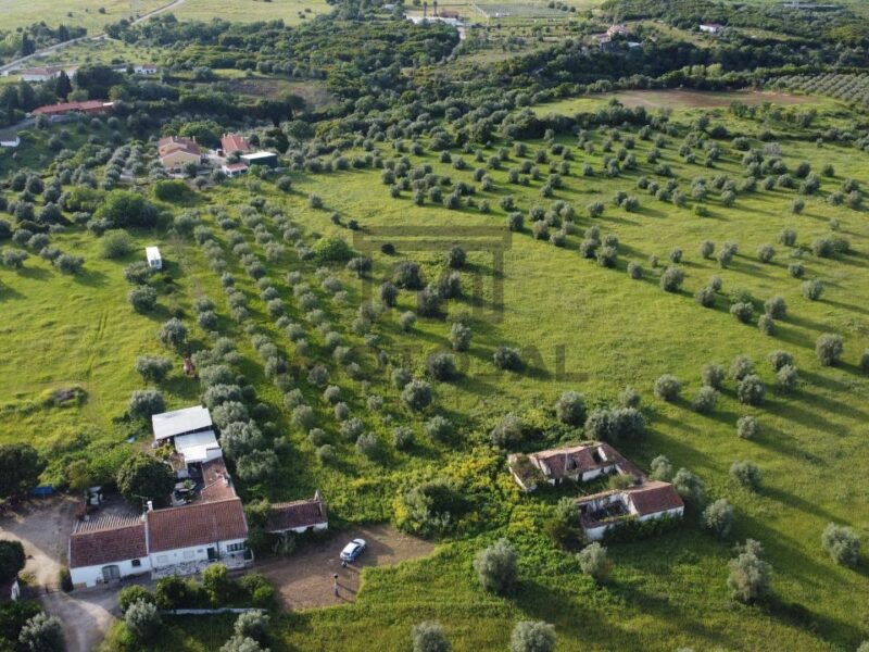 Moradia em Ruinas (terreno com 3 hectares)