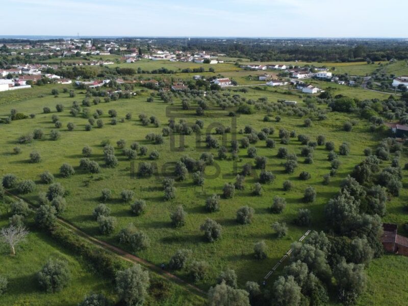 Moradia em Ruinas (terreno com 3 hectares)