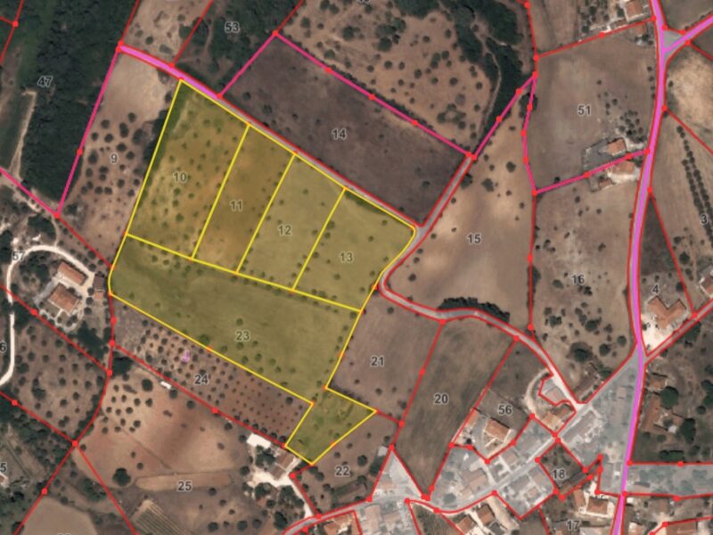 Moradia em Ruinas (terreno com 3 hectares)